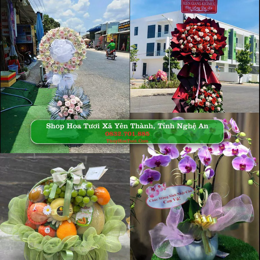 Shop Hoa Tươi Xã Yên Thành - Tỉnh Nghệ An