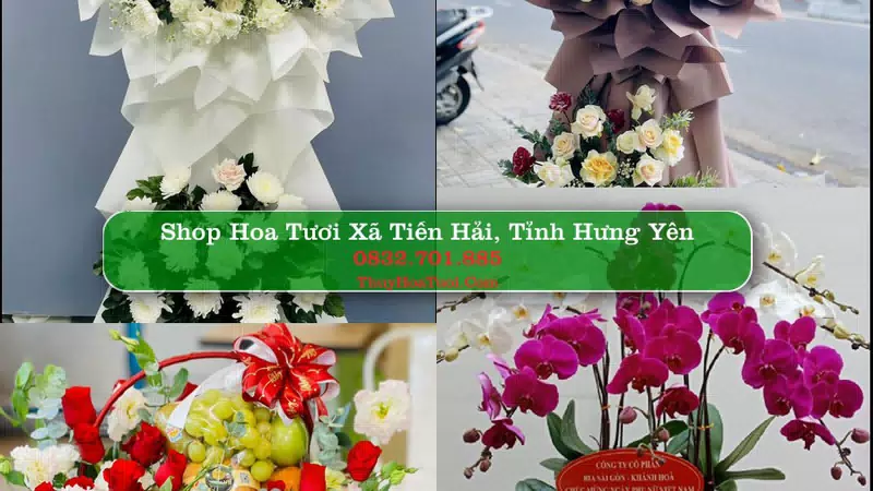 Shop Hoa Tươi Xã Tiền Hải - Tỉnh Hưng Yên