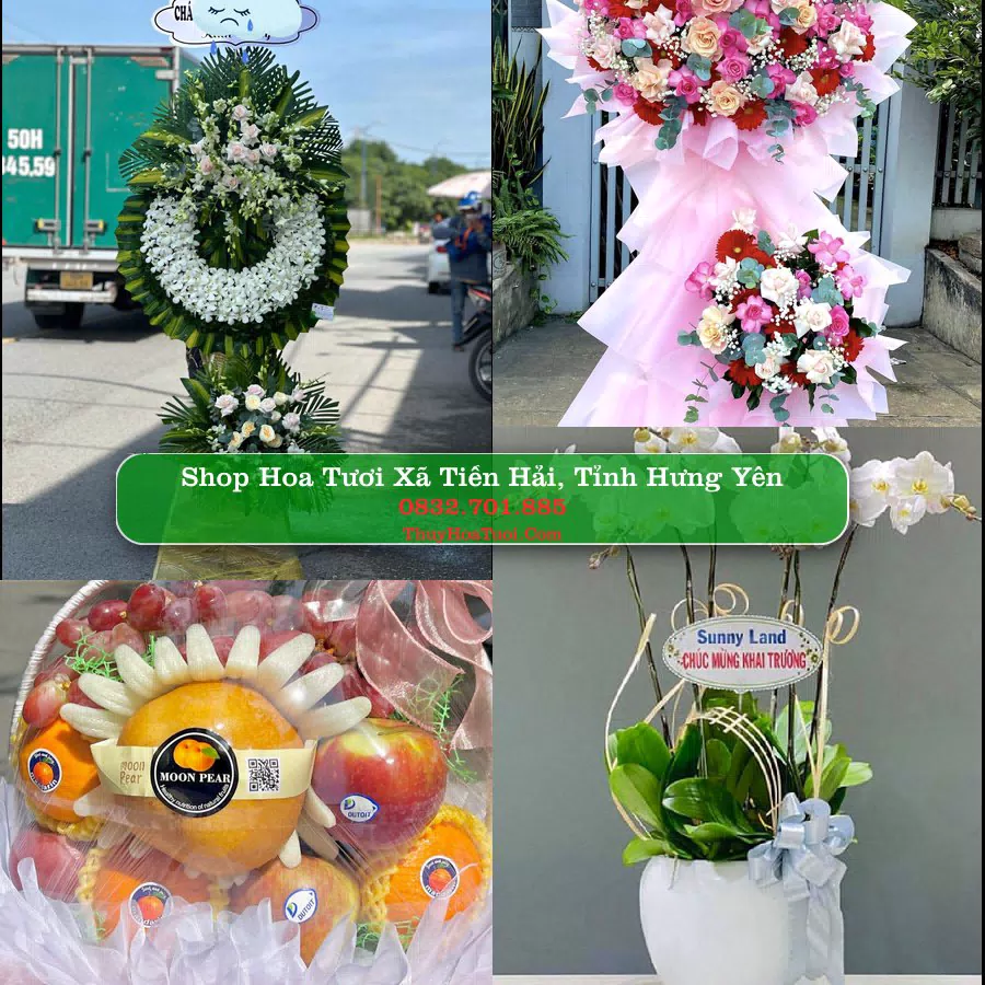 Shop hoa tươi Xã Tiền Hải, Tỉnh Hưng Yên - ThuyHoaTuoi.Com giao hoa tận nơi