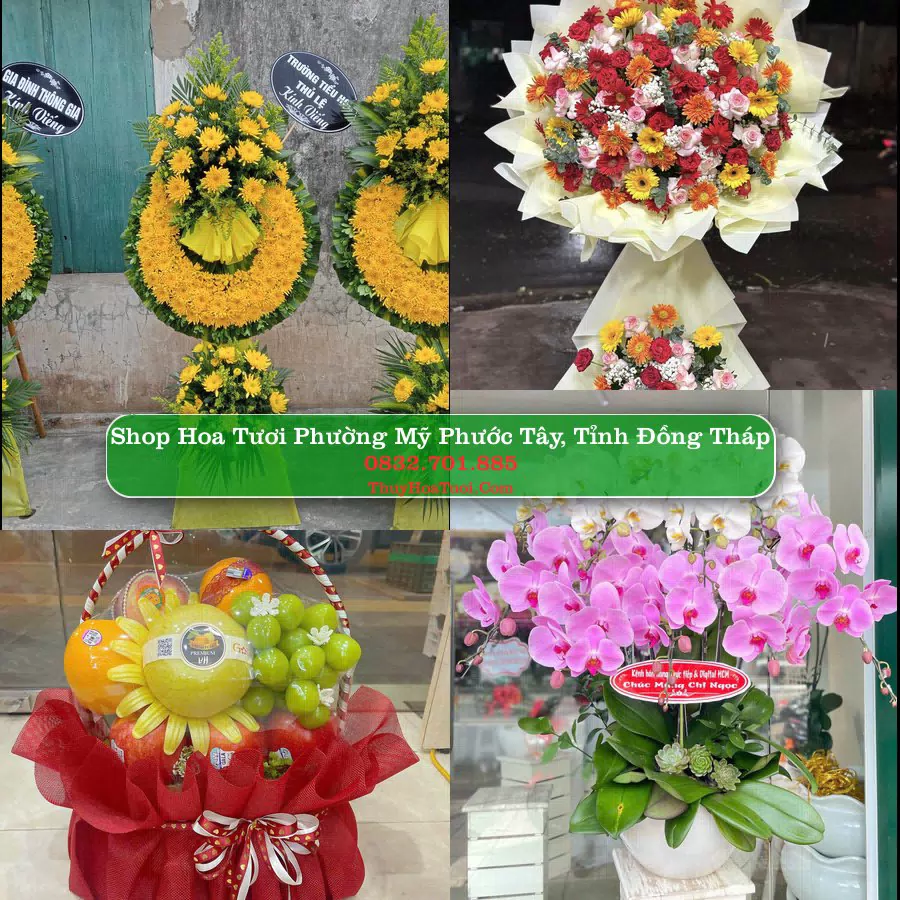 Shop hoa tươi Phường Mỹ Phước Tây, Tỉnh Đồng Tháp - ThuyHoaTuoi.Com giao hoa tận nơi