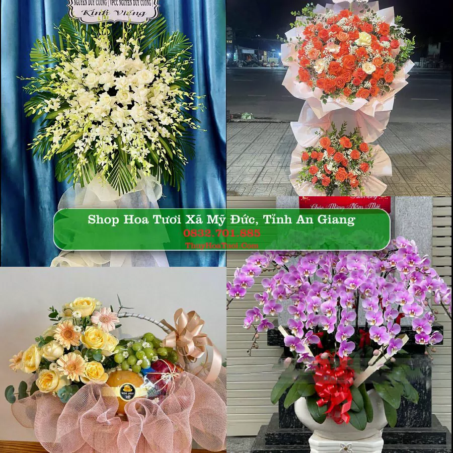 Shop Hoa Tươi Xã Mỹ Đức - Tỉnh An Giang