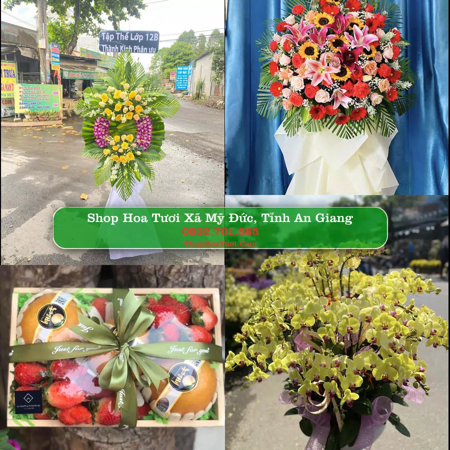 Shop hoa tươi Xã Mỹ Đức, Tỉnh An Giang - ThuyHoaTuoi.Com giao hoa tận nơi