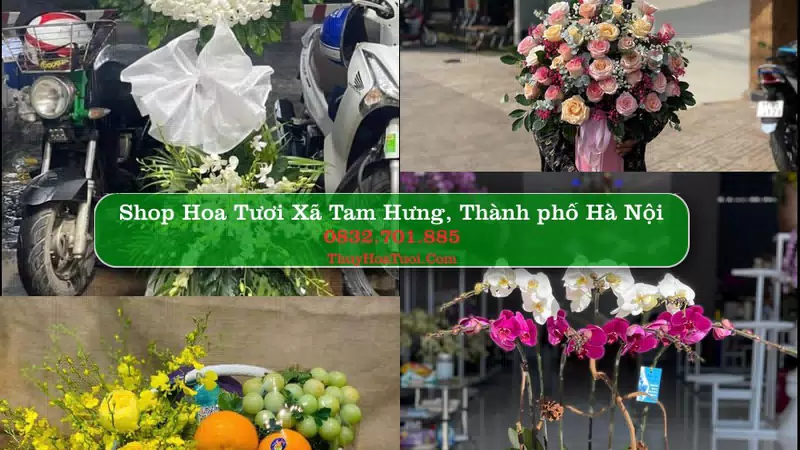 Shop Hoa Tươi Xã Tam Hưng - Thành phố Hà Nội
