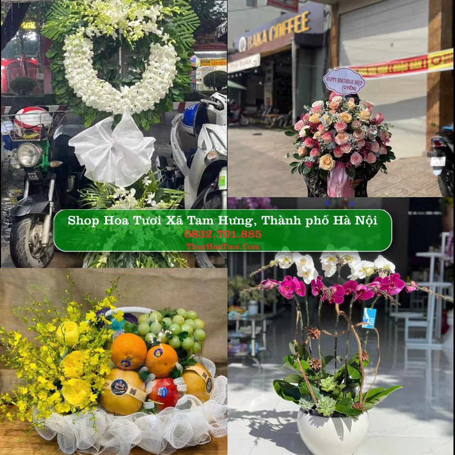 Shop Hoa Tươi Xã Tam Hưng - Thành phố Hà Nội