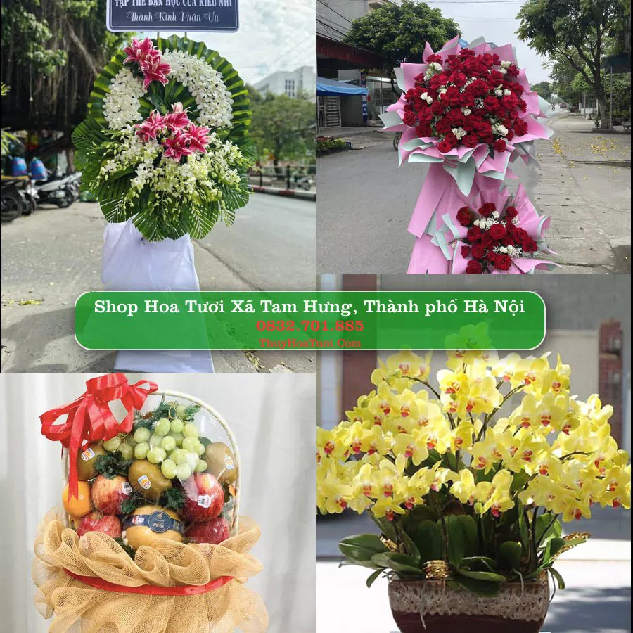 Shop hoa tươi Xã Tam Hưng, Thành phố Hà Nội - ThuyHoaTuoi.Com giao hoa tận nơi