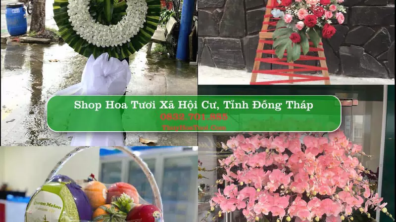 Shop Hoa Tươi Xã Hội Cư - Tỉnh Đồng Tháp