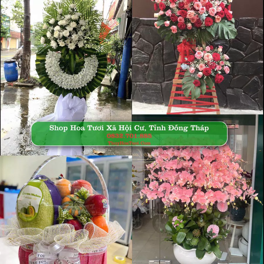 Shop Hoa Tươi Xã Hội Cư - Tỉnh Đồng Tháp