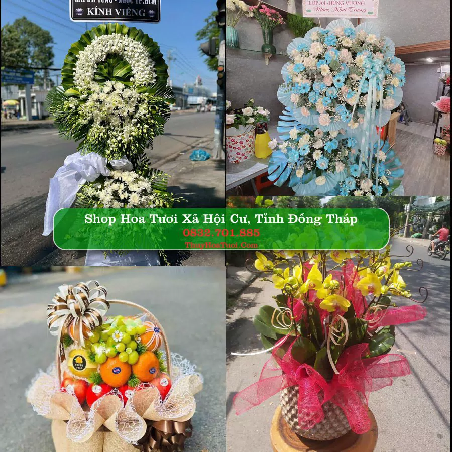 Shop hoa tươi Xã Hội Cư, Tỉnh Đồng Tháp - ThuyHoaTuoi.Com giao hoa tận nơi