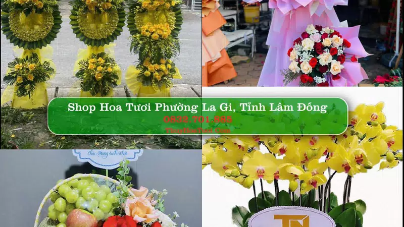 Shop Hoa Tươi Phường La Gi - Tỉnh Lâm Đồng