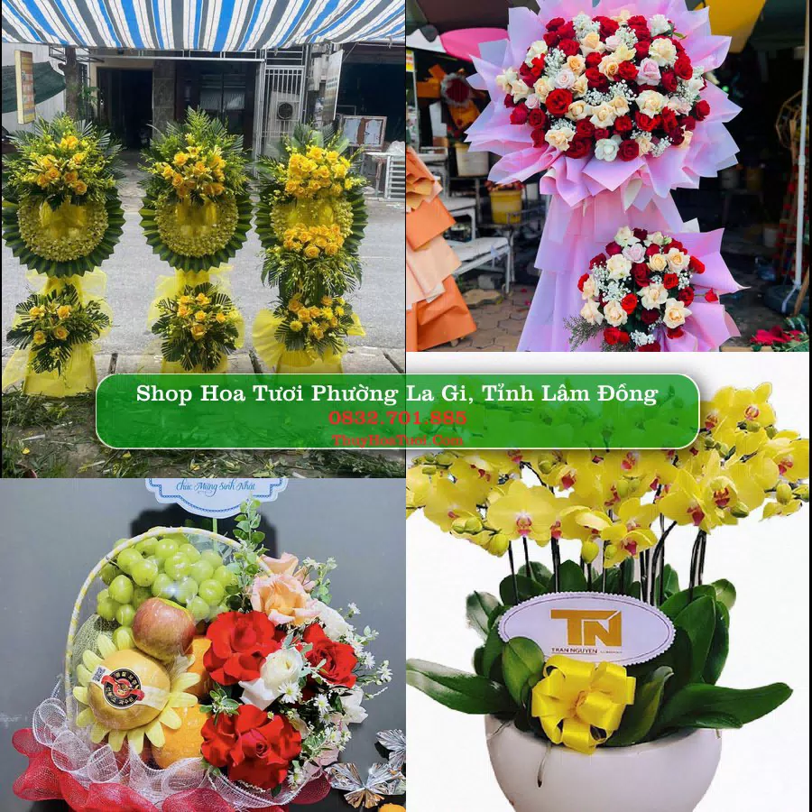 Shop Hoa Tươi Phường La Gi - Tỉnh Lâm Đồng