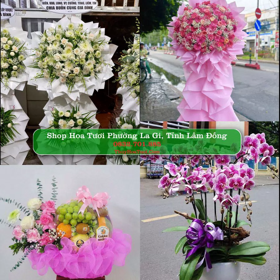Shop hoa tươi Phường La Gi, Tỉnh Lâm Đồng - ThuyHoaTuoi.Com giao hoa tận nơi