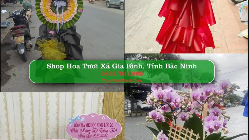 Shop Hoa Tươi Xã Gia Bình - Tỉnh Bắc Ninh
