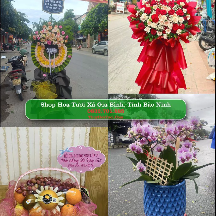 Shop Hoa Tươi Xã Gia Bình - Tỉnh Bắc Ninh