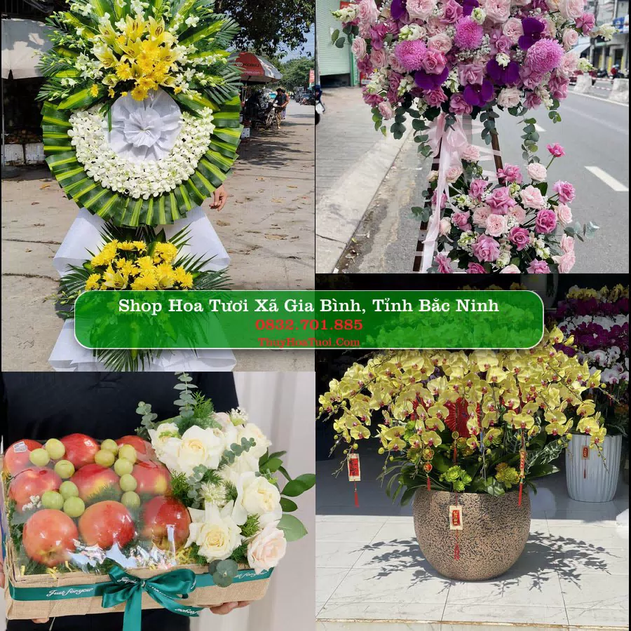 Shop hoa tươi Xã Gia Bình, Tỉnh Bắc Ninh - ThuyHoaTuoi.Com giao hoa tận nơi
