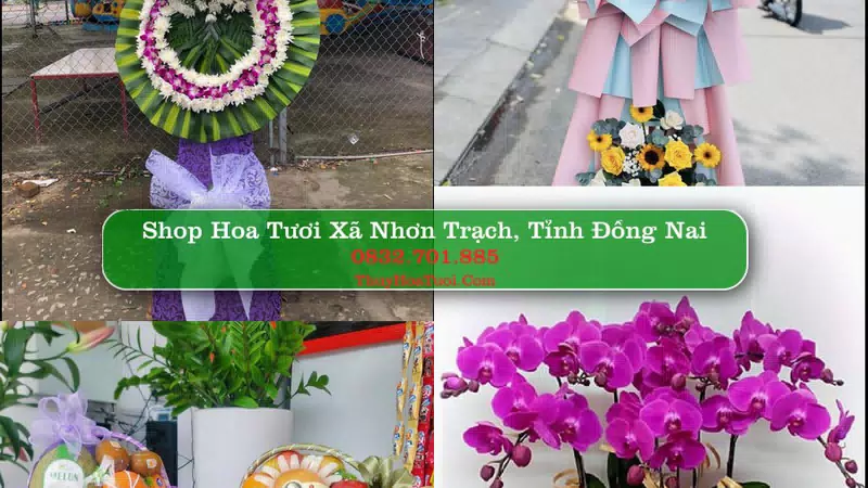 Shop Hoa Tươi Xã Nhơn Trạch - Tỉnh Đồng Nai