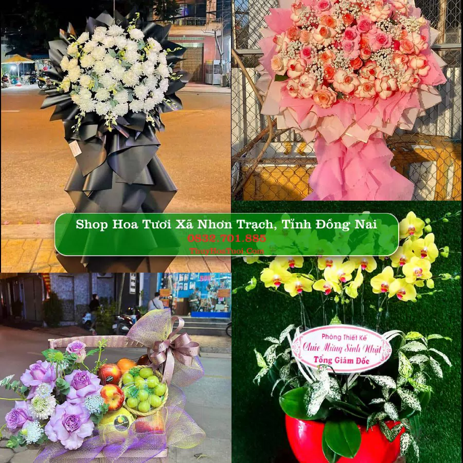 Shop hoa tươi Xã Nhơn Trạch, Tỉnh Đồng Nai - ThuyHoaTuoi.Com giao hoa tận nơi