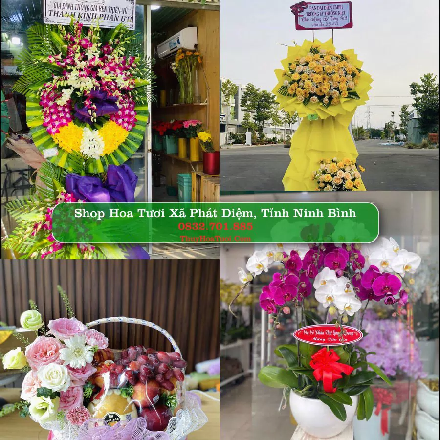 Shop Hoa Tươi Xã Phát Diệm - Tỉnh Ninh Bình