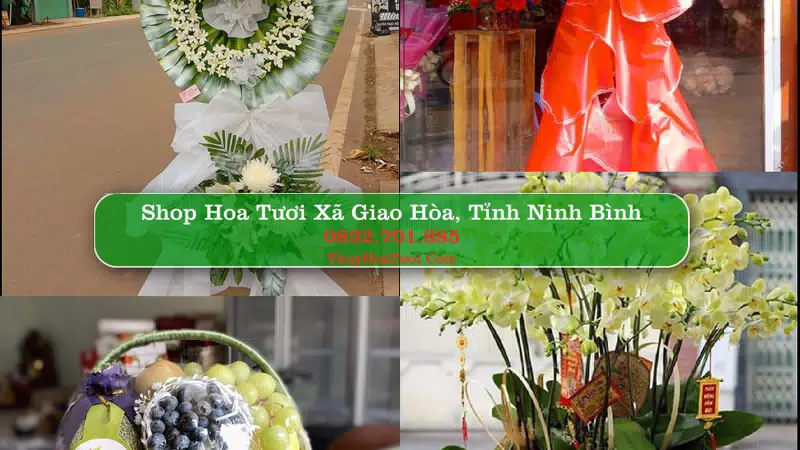 Shop Hoa Tươi Xã Giao Hòa - Tỉnh Ninh Bình
