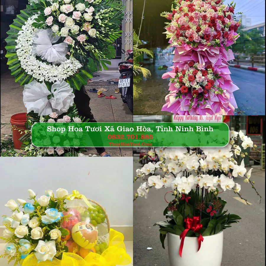 Shop hoa tươi Xã Giao Hòa, Tỉnh Ninh Bình - ThuyHoaTuoi.Com giao hoa tận nơi