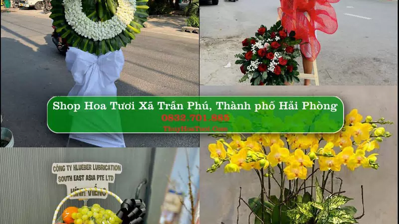 Shop Hoa Tươi Xã Trần Phú - Thành phố Hải Phòng
