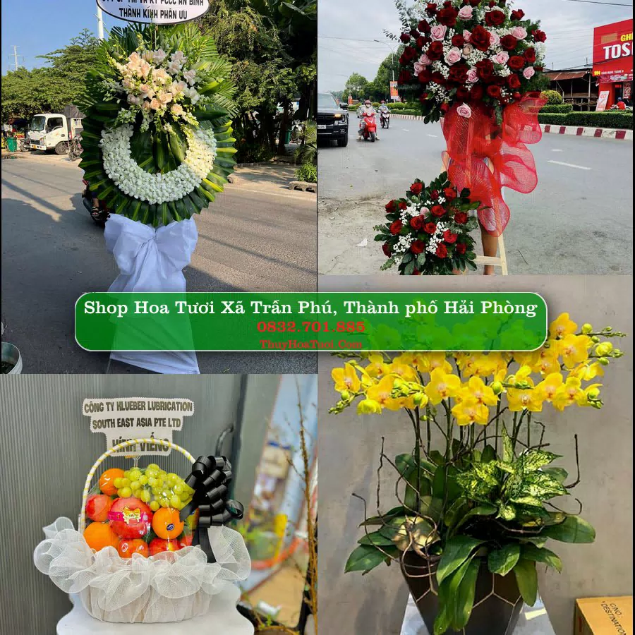 Shop Hoa Tươi Xã Trần Phú - Thành phố Hải Phòng