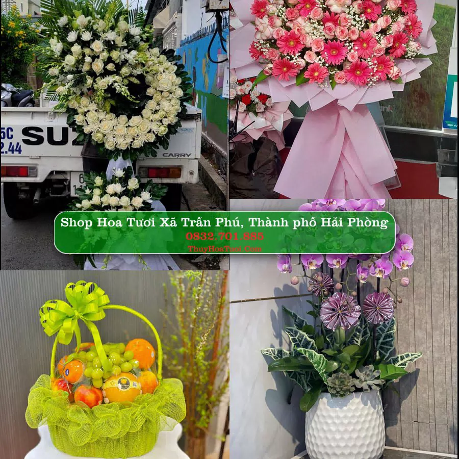 Shop hoa tươi Xã Trần Phú, Thành phố Hải Phòng - ThuyHoaTuoi.Com giao hoa tận nơi