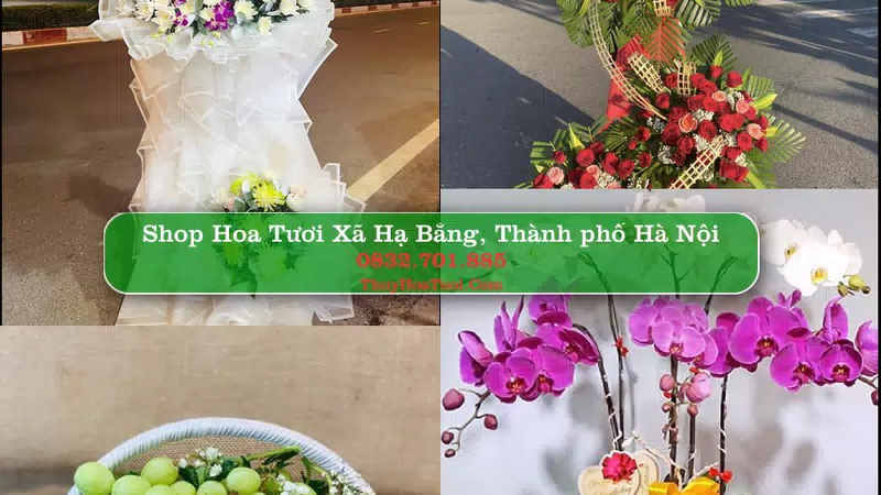 Shop Hoa Tươi Xã Hạ Bằng - Thành phố Hà Nội