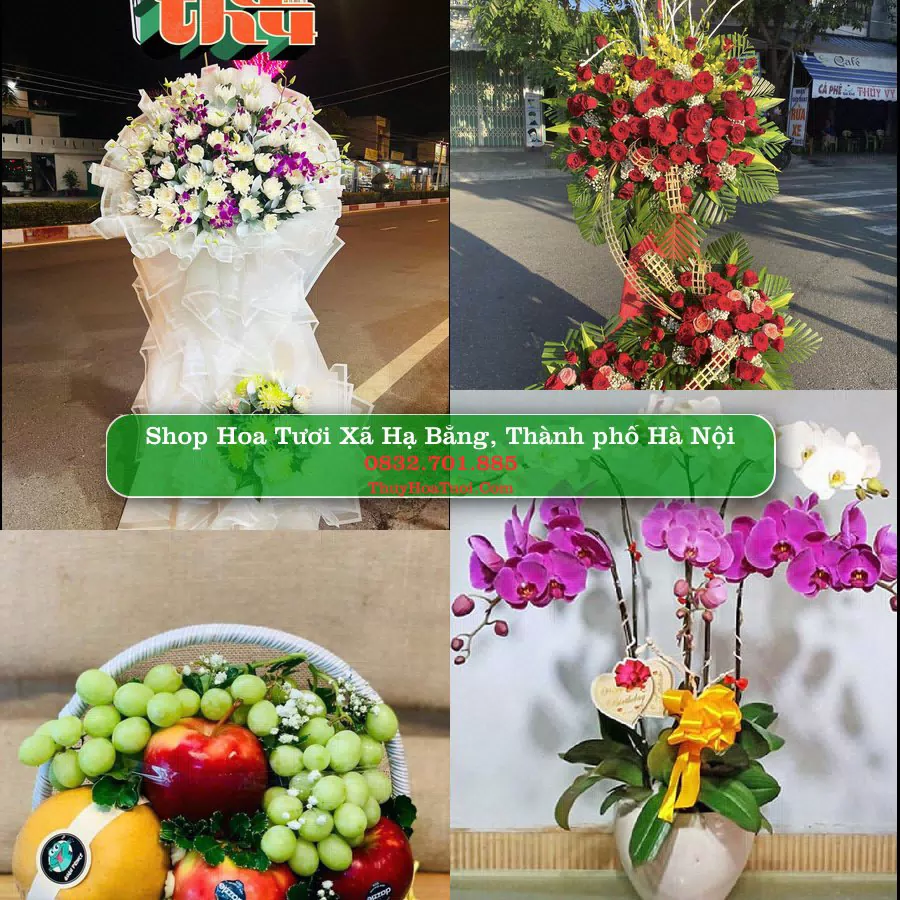 Shop Hoa Tươi Xã Hạ Bằng - Thành phố Hà Nội