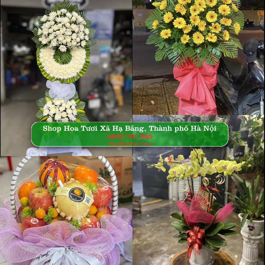Shop hoa tươi Xã Hạ Bằng, Thành phố Hà Nội - ThuyHoaTuoi.Com giao hoa tận nơi