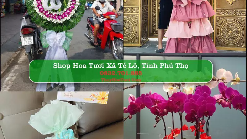 Shop Hoa Tươi Xã Tề Lỗ - Tỉnh Phú Thọ