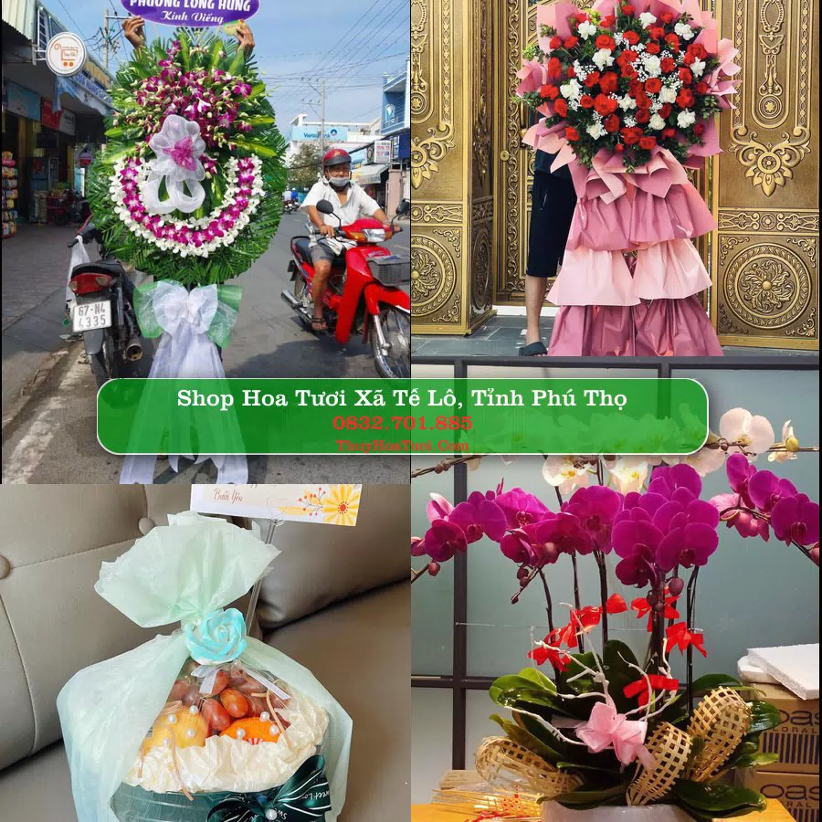 Shop Hoa Tươi Xã Tề Lỗ - Tỉnh Phú Thọ