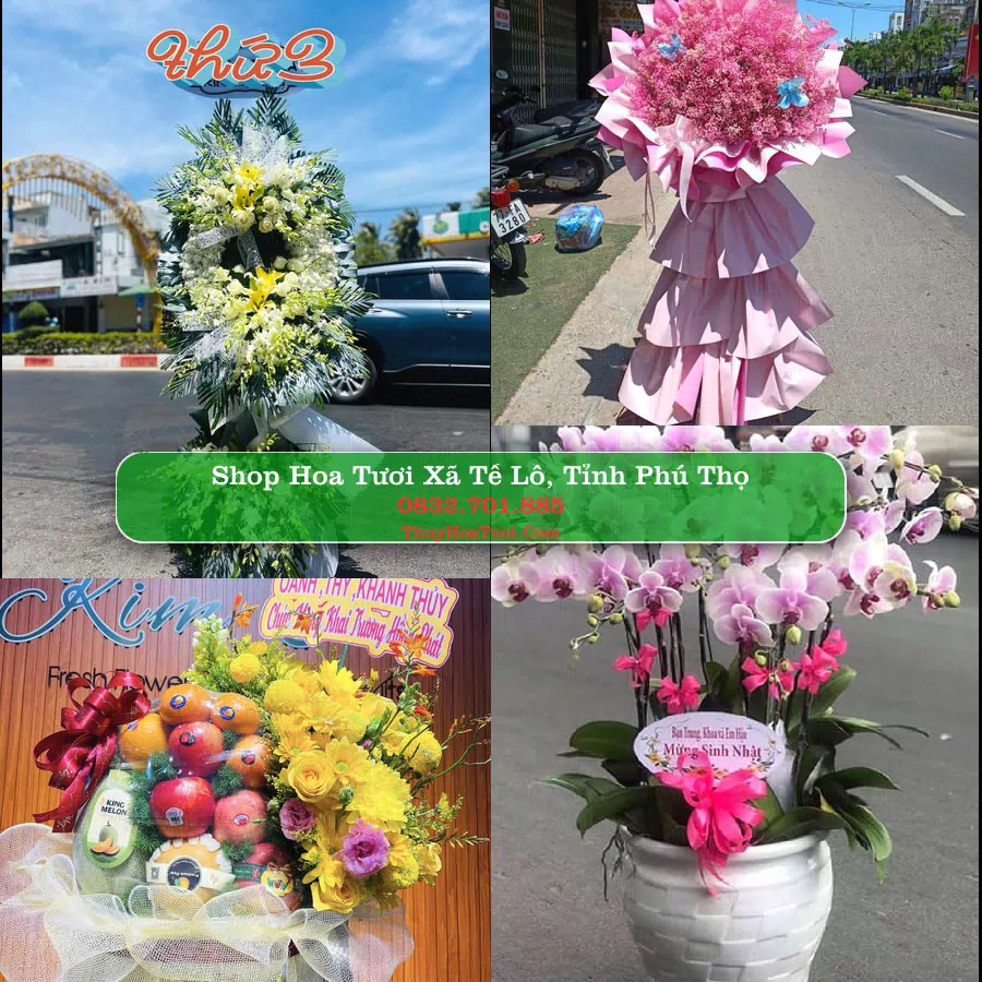Shop hoa tươi Xã Tề Lỗ, Tỉnh Phú Thọ - ThuyHoaTuoi.Com giao hoa tận nơi