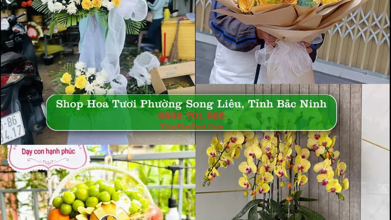Shop Hoa Tươi Phường Song Liễu - Tỉnh Bắc Ninh