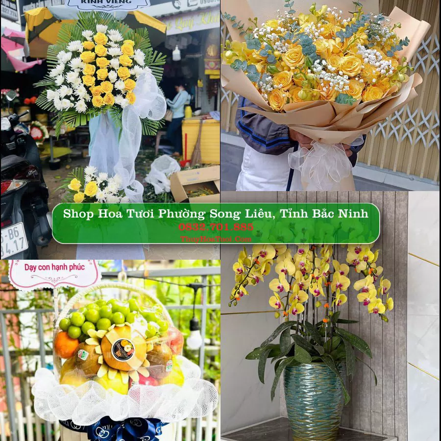 Shop Hoa Tươi Phường Song Liễu - Tỉnh Bắc Ninh