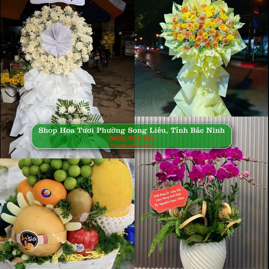Shop hoa tươi Phường Song Liễu, Tỉnh Bắc Ninh - ThuyHoaTuoi.Com giao hoa tận nơi