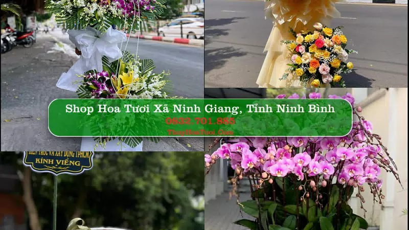 Shop Hoa Tươi Xã Ninh Giang - Tỉnh Ninh Bình
