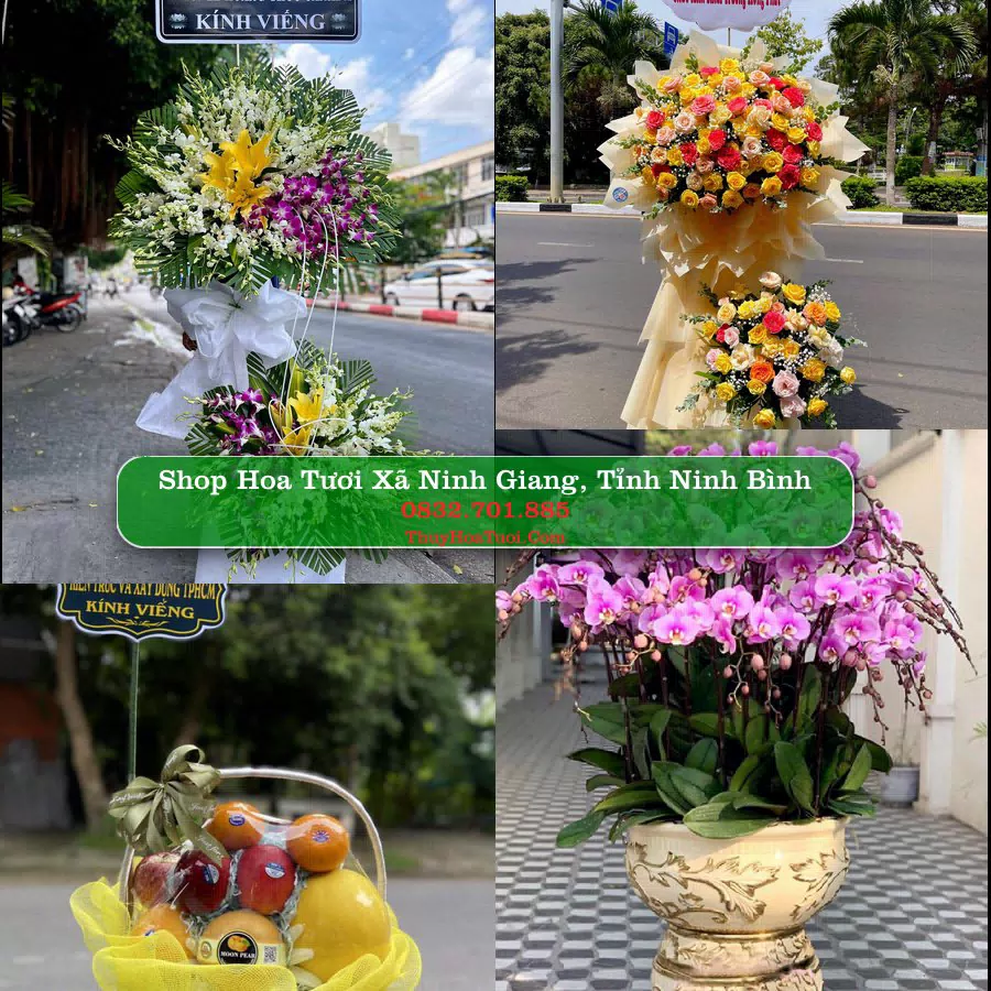 Shop Hoa Tươi Xã Ninh Giang - Tỉnh Ninh Bình
