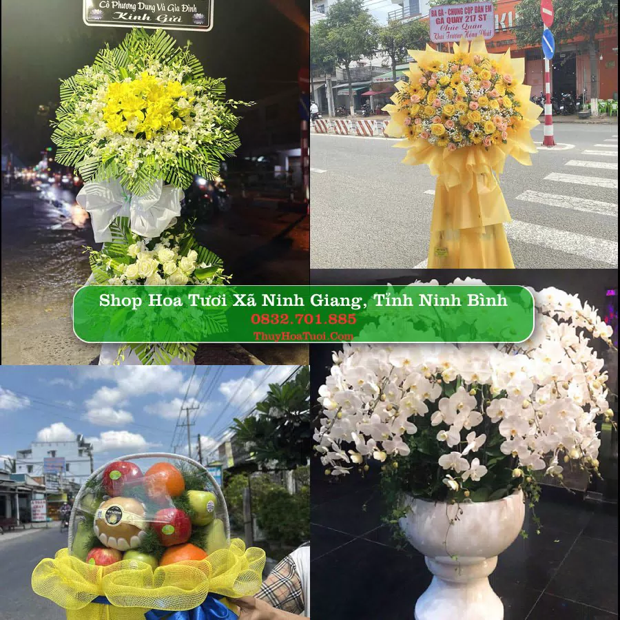 Shop hoa tươi Xã Ninh Giang, Tỉnh Ninh Bình - ThuyHoaTuoi.Com giao hoa tận nơi