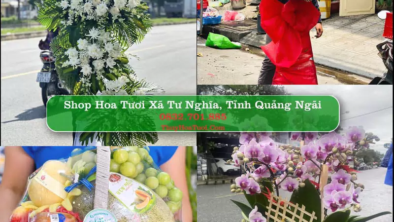 Shop Hoa Tươi Xã Tư Nghĩa - Tỉnh Quảng Ngãi