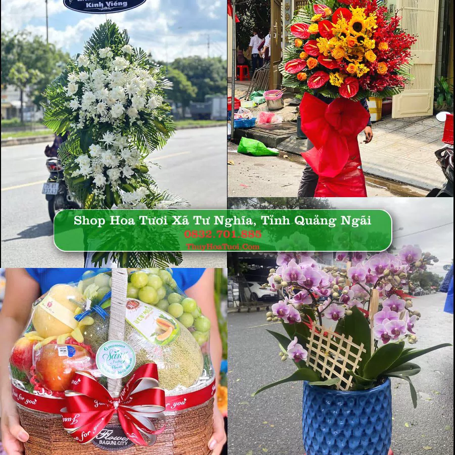 Shop Hoa Tươi Xã Tư Nghĩa - Tỉnh Quảng Ngãi
