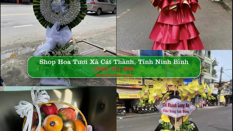 Shop Hoa Tươi Xã Cát Thành - Tỉnh Ninh Bình