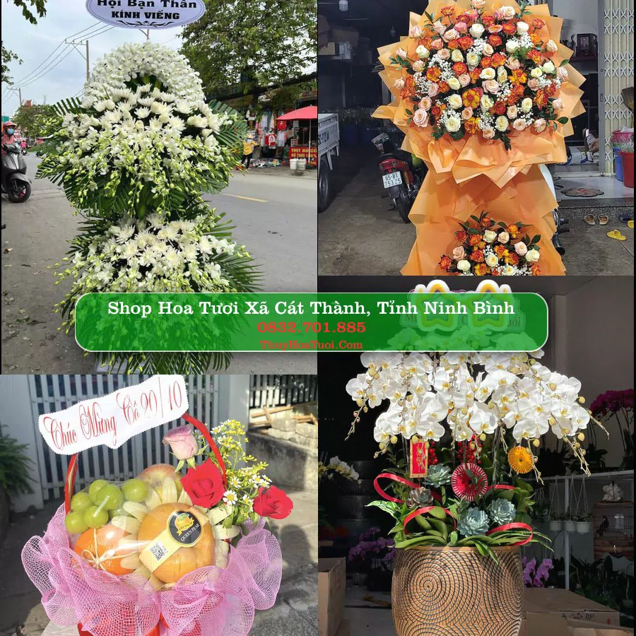 Shop hoa tươi Xã Cát Thành, Tỉnh Ninh Bình - ThuyHoaTuoi.Com giao hoa tận nơi
