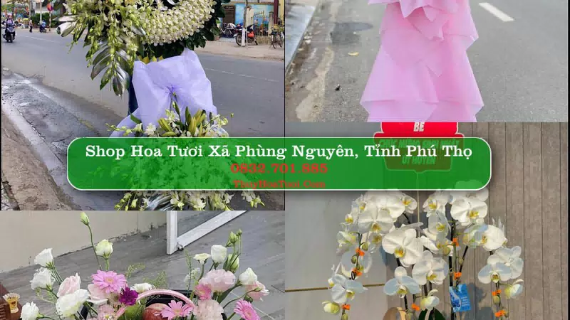 Shop Hoa Tươi Xã Phùng Nguyên - Tỉnh Phú Thọ