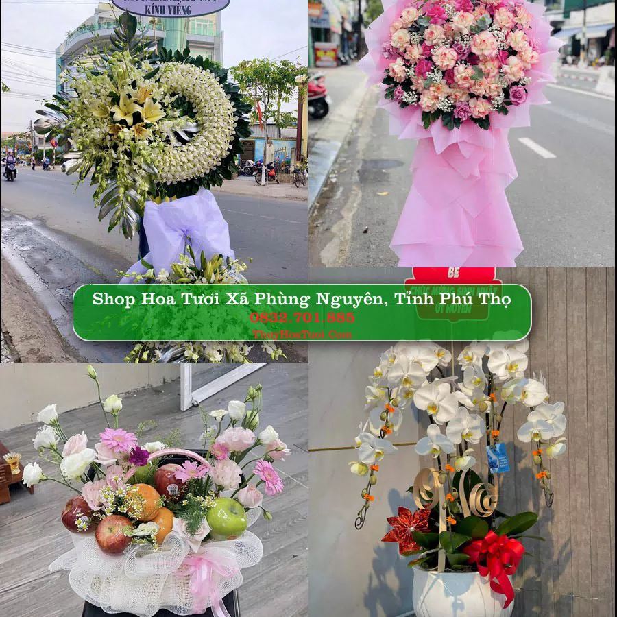 Shop Hoa Tươi Xã Phùng Nguyên - Tỉnh Phú Thọ