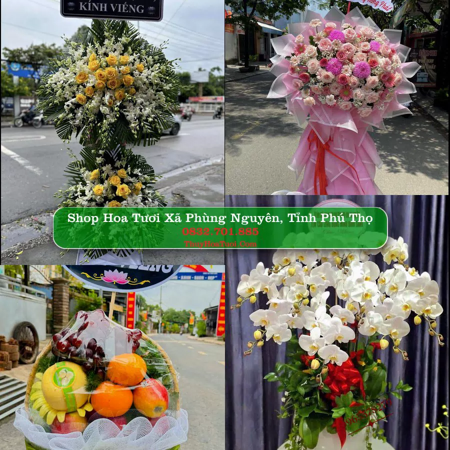 Shop hoa tươi Xã Phùng Nguyên, Tỉnh Phú Thọ - ThuyHoaTuoi.Com giao hoa tận nơi