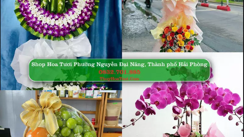 Shop Hoa Tươi Phường Nguyễn Đại Năng - Thành phố Hải Phòng
