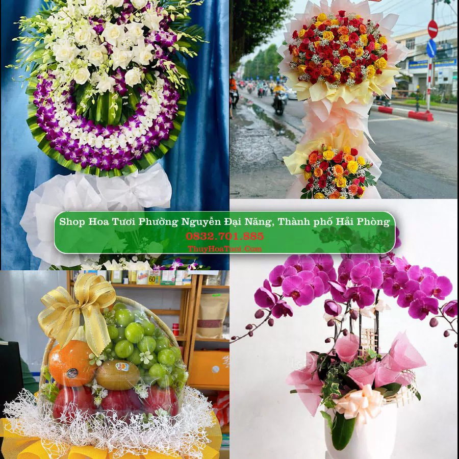 Shop Hoa Tươi Phường Nguyễn Đại Năng - Thành phố Hải Phòng