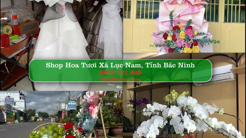 Shop Hoa Tươi Xã Lục Nam - Tỉnh Bắc Ninh
