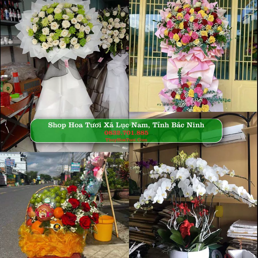 Shop Hoa Tươi Xã Lục Nam - Tỉnh Bắc Ninh