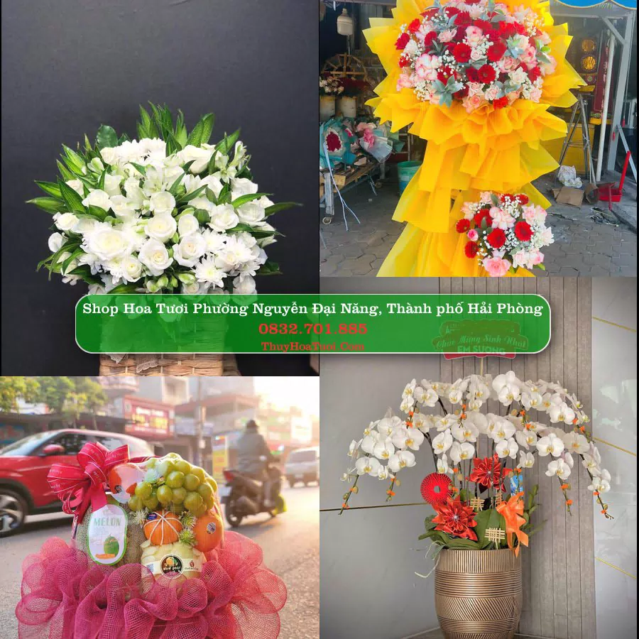 Shop hoa tươi Phường Nguyễn Đại Năng, Thành phố Hải Phòng - ThuyHoaTuoi.Com giao hoa tận nơi